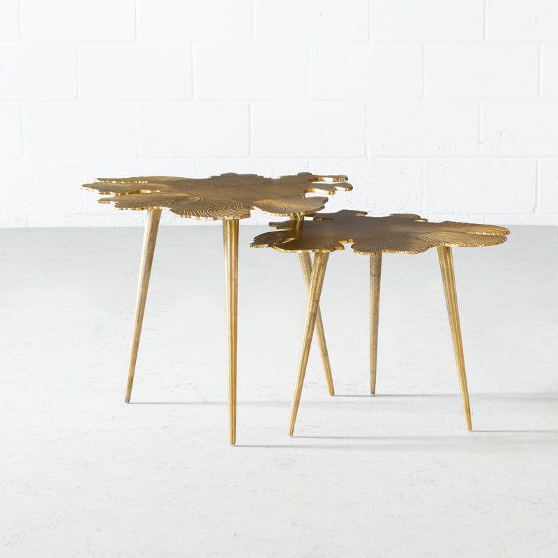 ANIYA - Metal Coffee Table (50 cm & 62 cm)