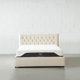 AMARA - Beige Fabric Bed