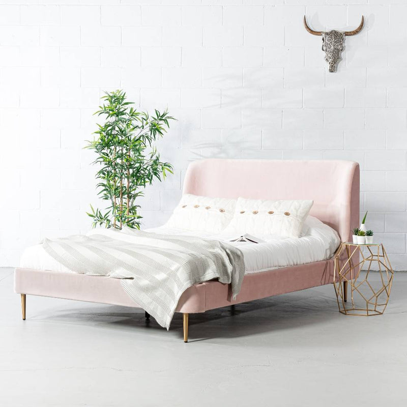 MEREDITH - Pink Velvet Bed - Wazo Furniture