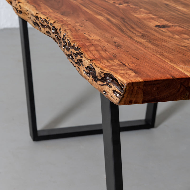 Acacia Natural Wood Live Edge Table with Black U-Shaped Legs